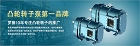 羅德轉(zhuǎn)子泵與南方某電機廠家技術(shù)交流，討論合作.